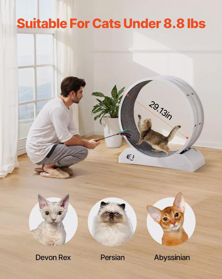 Premium 31.5 in Large Cat Exercise Wheel Indoor Cat Running Wheel Treadmill White AU